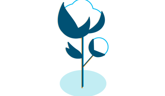 An illustration of a cotton flower symbolizing Amazon's cotton policy.