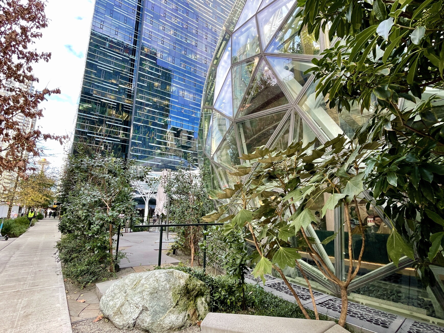 Alfresco Garden