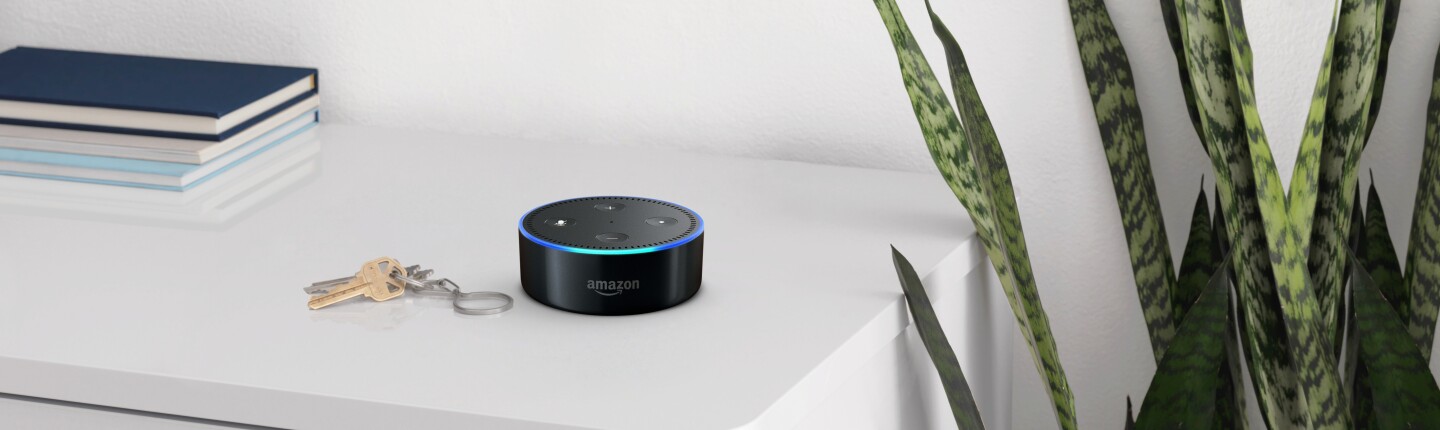 A black Amazon Echo dot on a shelf, next to a set of car keys. Books and a green plant are in the background.