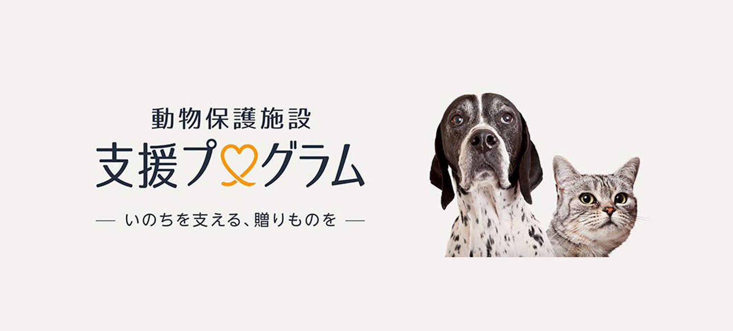 動物保護施設への新型コロナウイルス感染症による影響と必要とされる支援について