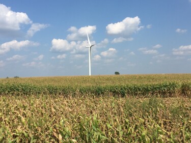 Wind farms like this one at Indiana's Fowler Ridge are of the ways AWS is working to achieve its goal of 100% renewable energy.