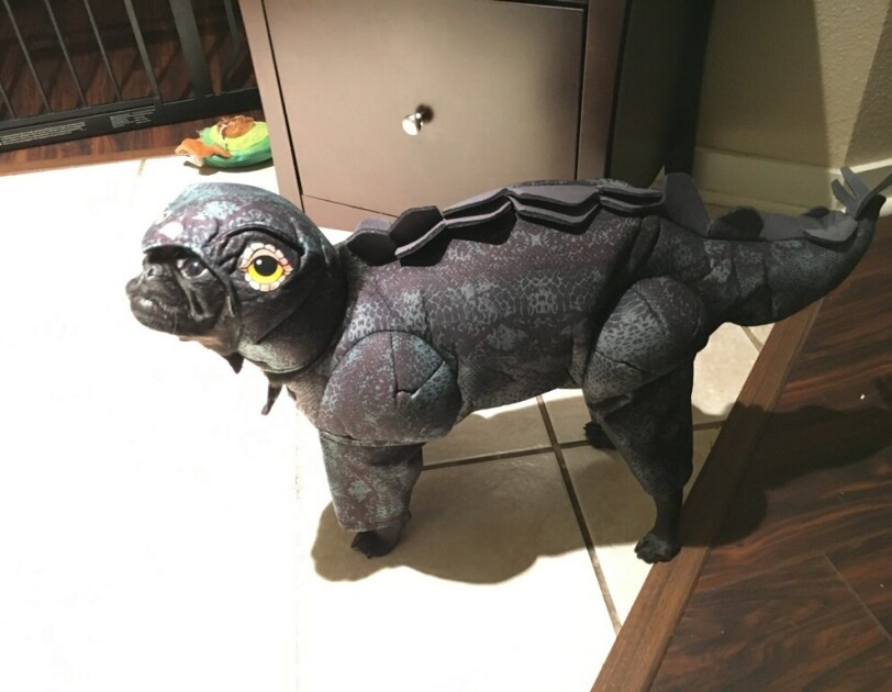 Dog wearing a dinosaur costume