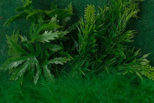 Plastic green foliage and a feathery green object are set against a green background.