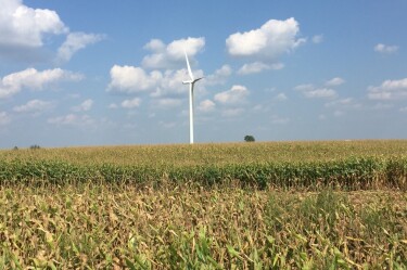 A wind turbine in a lush field with a tree in the distance.