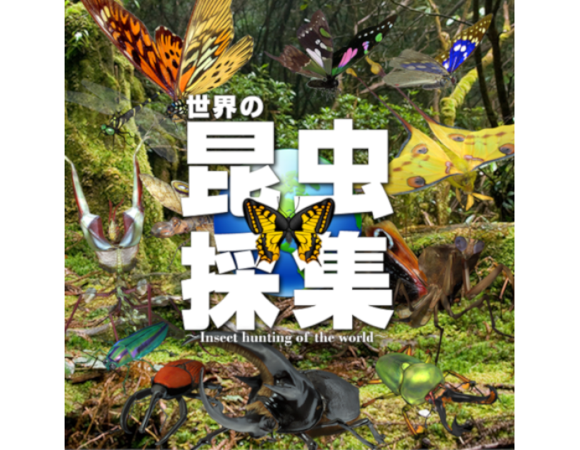 親子で楽しみながら実践するニューノーマルな暮らし方。Amazonデバイス活用術 【休日編】