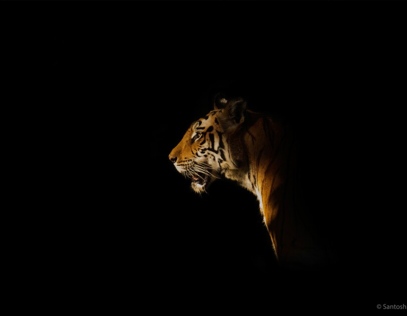 PLay of light 3