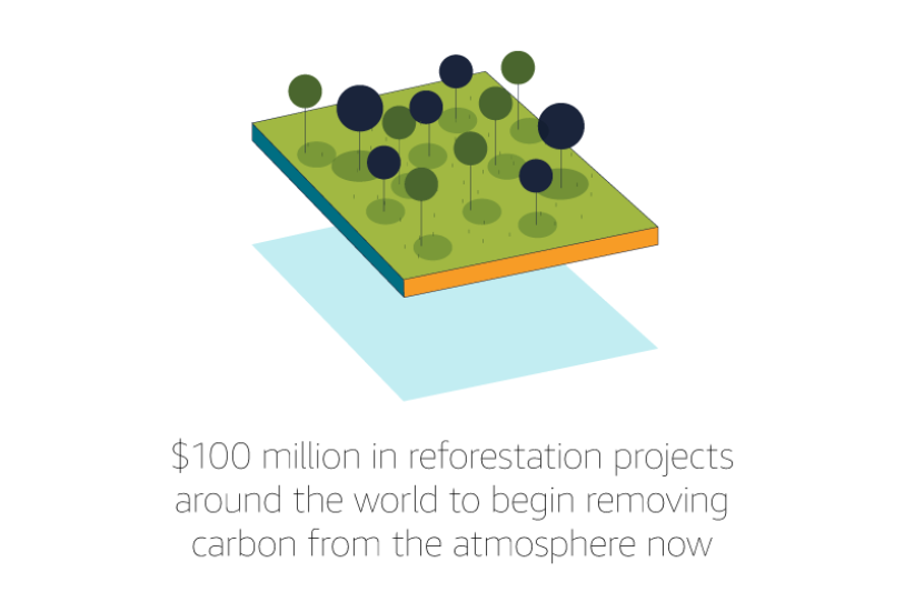 $100 million in reforestation projects around the world to begin removing carbon from the atmosphere now