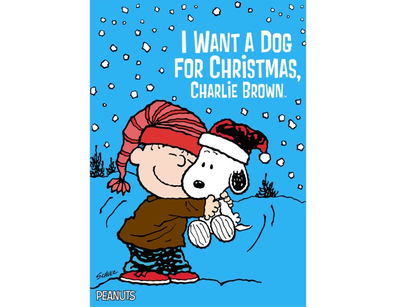 Linus, a character from the Peanuts cartoon, squeezes Snoopy, while standing outside. Snow falls lightly around them.