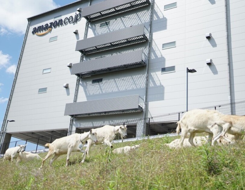 amazonの物流ネットワークの成長を支え 環境にも配慮した次世代の施設をつくる