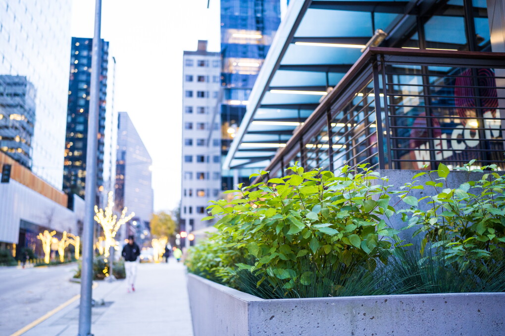 Bioretention planters