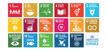 UN SDGs