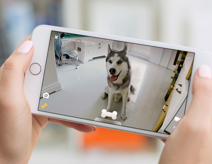 Petcube screen view