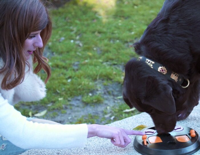 Marian Oliveira es portuguesa y trabaja en las oficinas corporativas de Amazon en Madrid. En la foto está enseñando a su perro, un labrador de color negro, cómo conseguir caramelos dentro de un juego de plástico que se encuentra en el suelo de un parque.