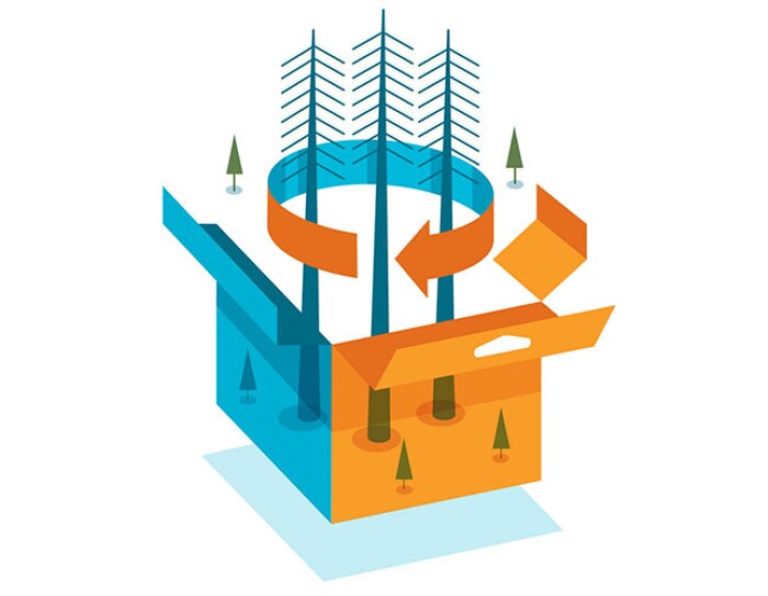 Illustration of packaging with trees coming out of center