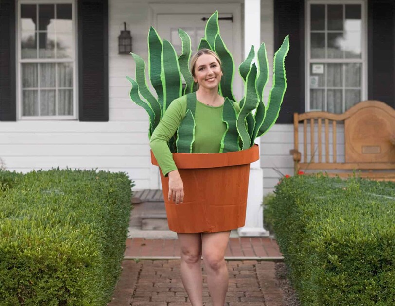 A woman wearing a boxtume (costume made from boxes). The bottom looks like a terra cotta pot, she wears a green long sleeve shirt, and around her upper body are large "leaves" to make her costume look like a potted plant.