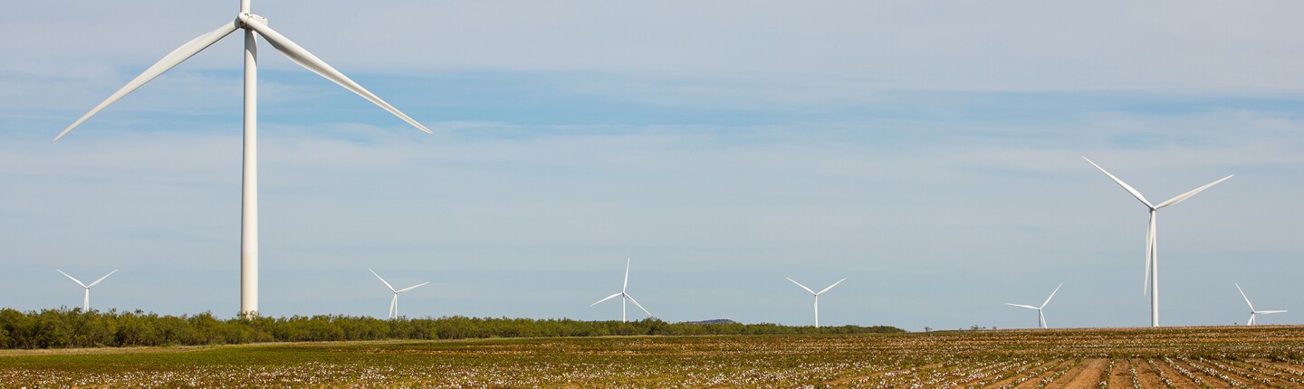 Amazon Wind Farm Texas