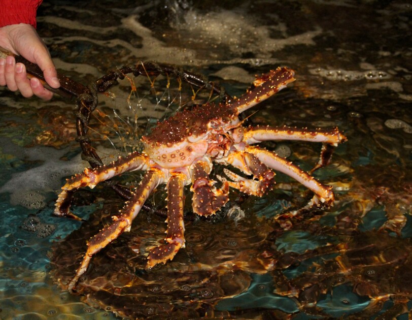 故郷を元気づける