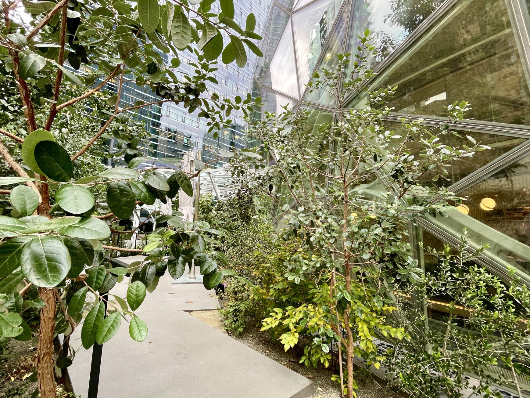 6th Avenue landscaping