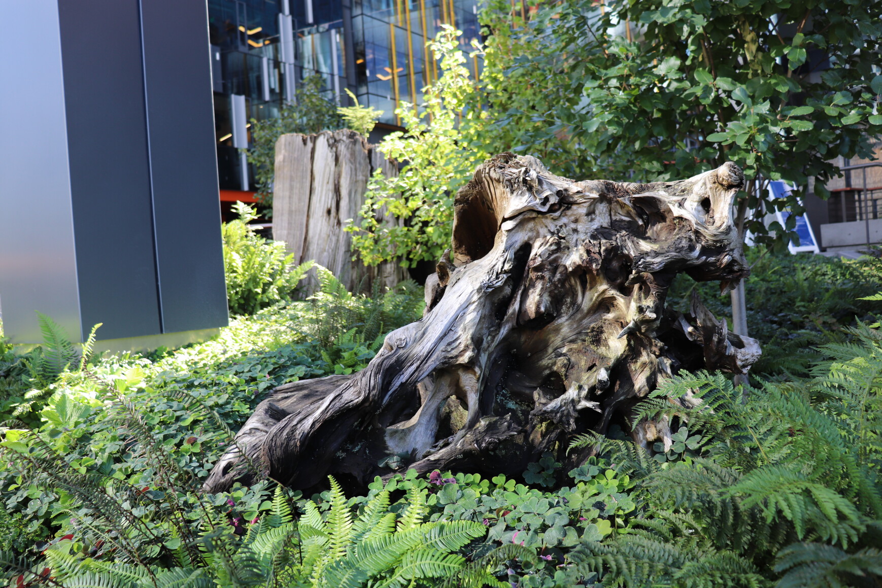 Nitro stump