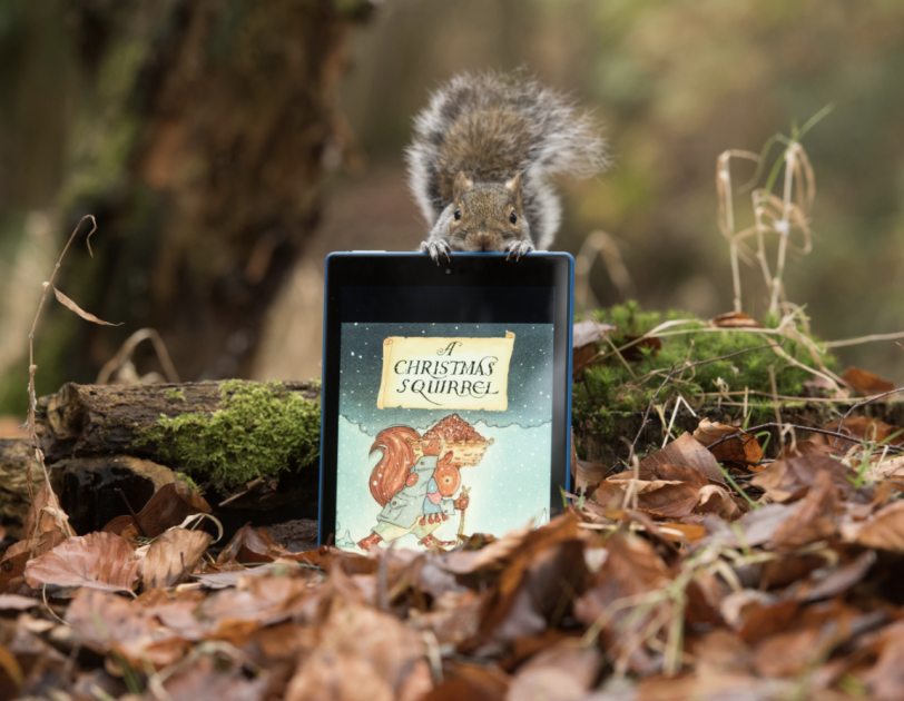 squirrel 1