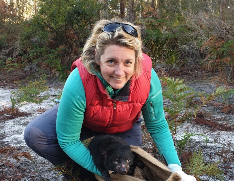 Dr Carolyn Hogg releasing a Tasmanian devil