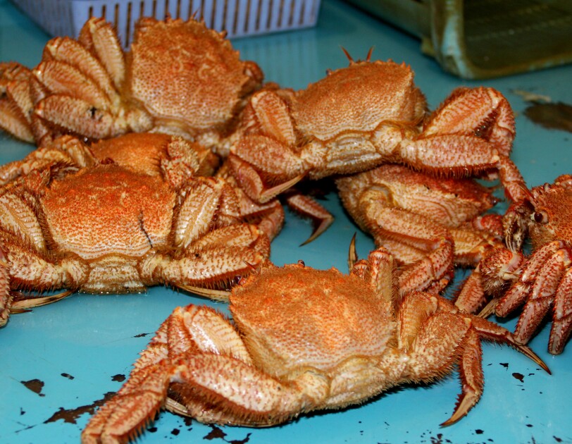 故郷を元気づける