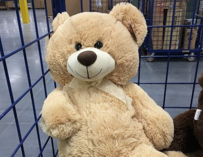 A larger-than-life-sized teddy bear that Hanna fondly remembers packaging just in time for a Valentine's Day delivery.