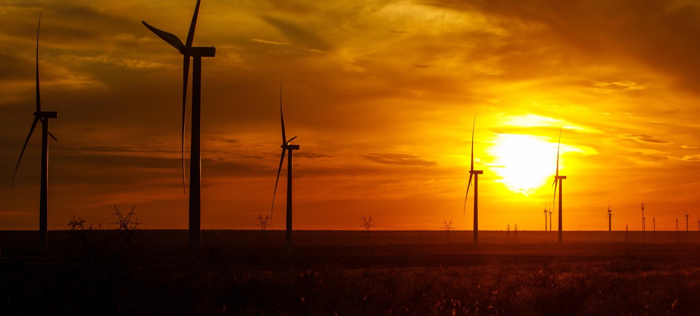 Amazon Wind Farm_2.jpg