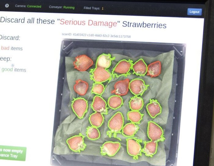 Wie Algorithmen Obst sortieren