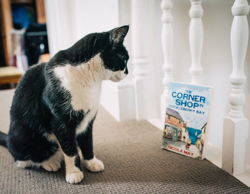Nicola May's cat Stan with her book The Corner Shop in Cockleberry Bay