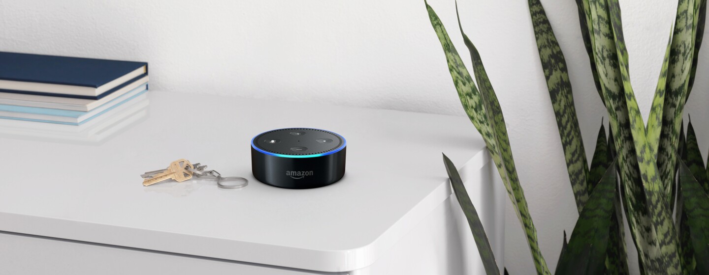 A black Amazon Echo dot on a shelf, next to a set of car keys. Books and a green plant are in the background.