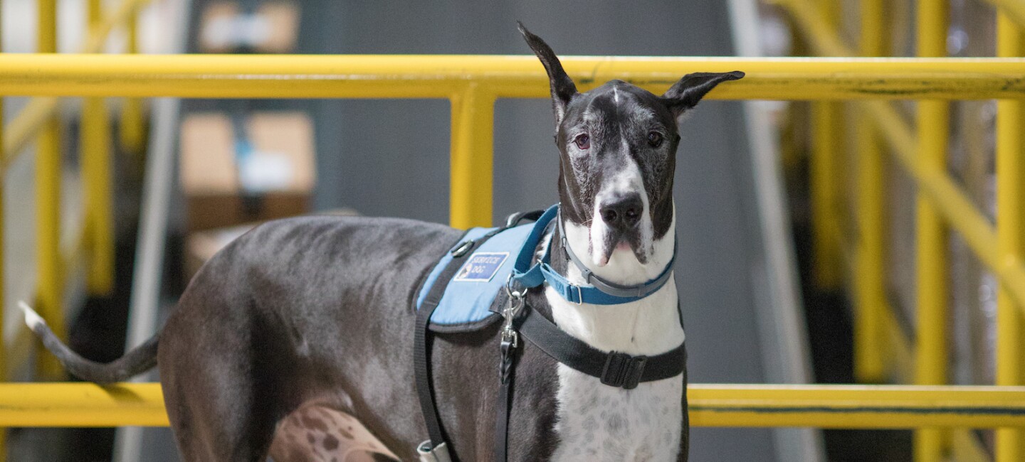 For the first time, a dog participated in our Fulfillment Center tour