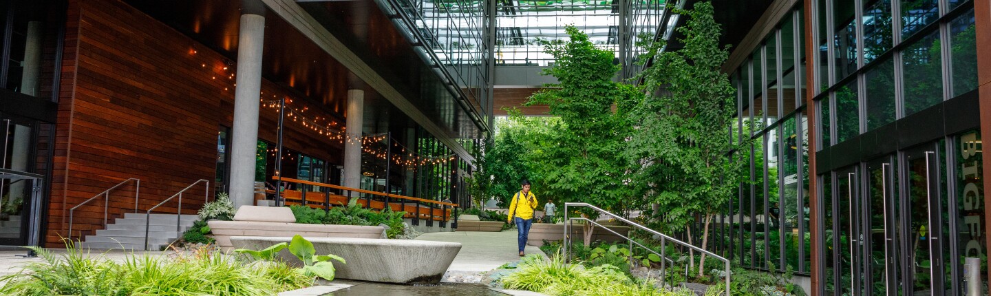 Amazon Bigfoot Courtyard