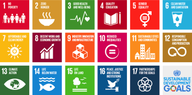 An image that features all of the United Nations Sustainable Development Goals tiles