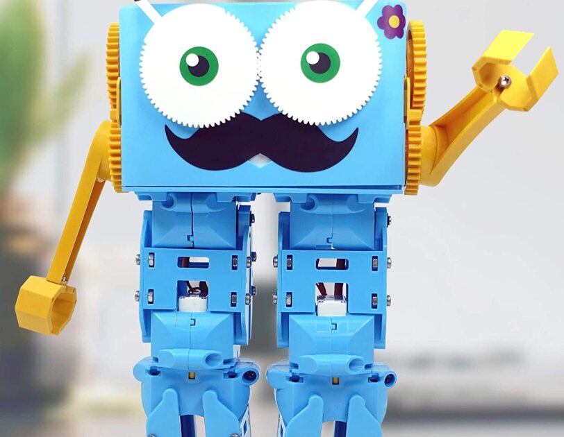 Blue Amazon Marty Robot