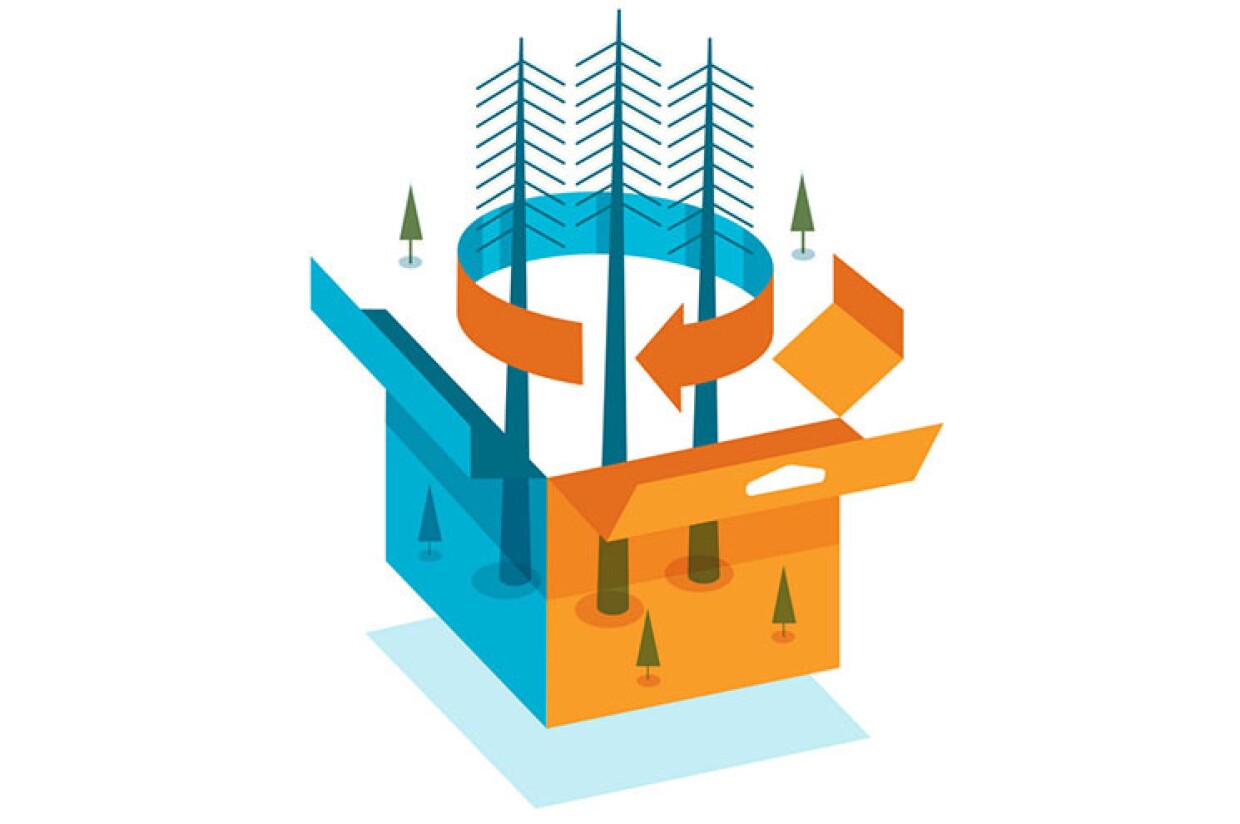 Illustration of packaging with trees coming out of center