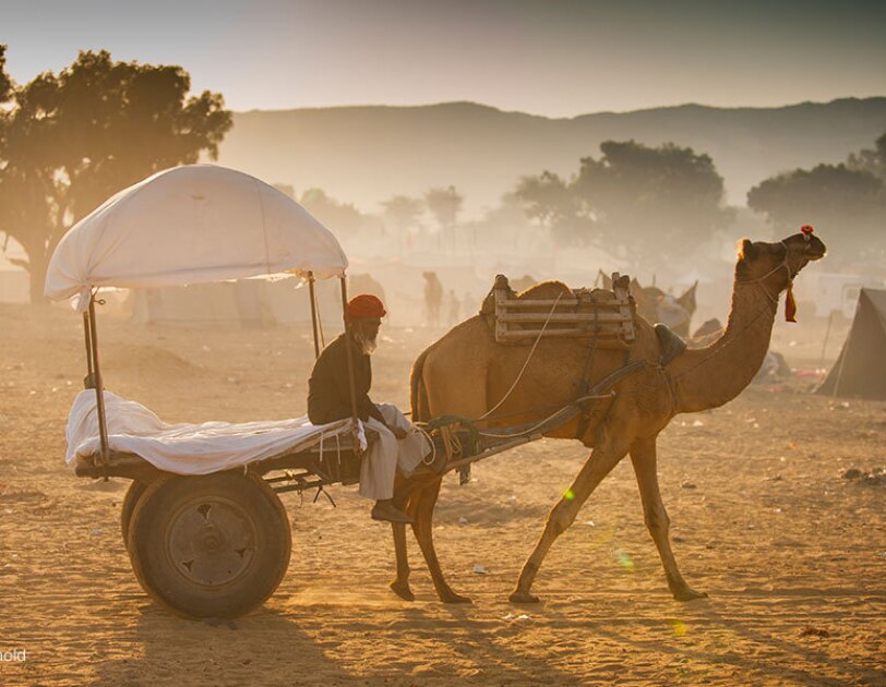 Pushkar 4