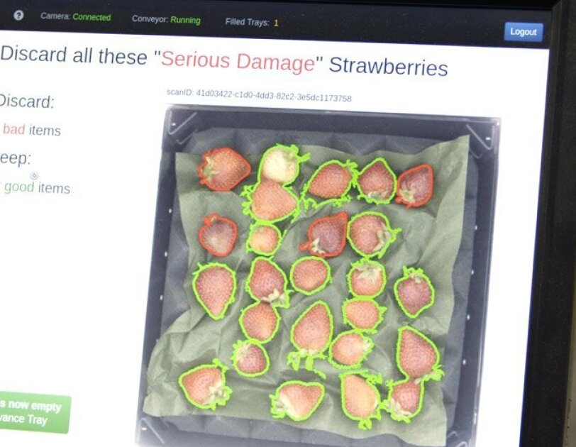 Wie Algorithmen Obst sortieren