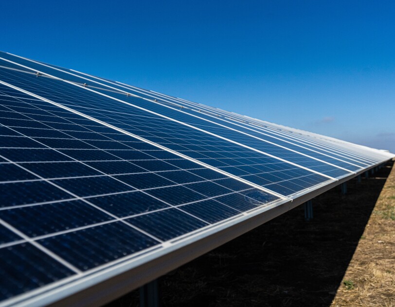 Primera plano de placas solares. El suelo es de tiera con hierbas de color verde y marrón. El cielo es azul.