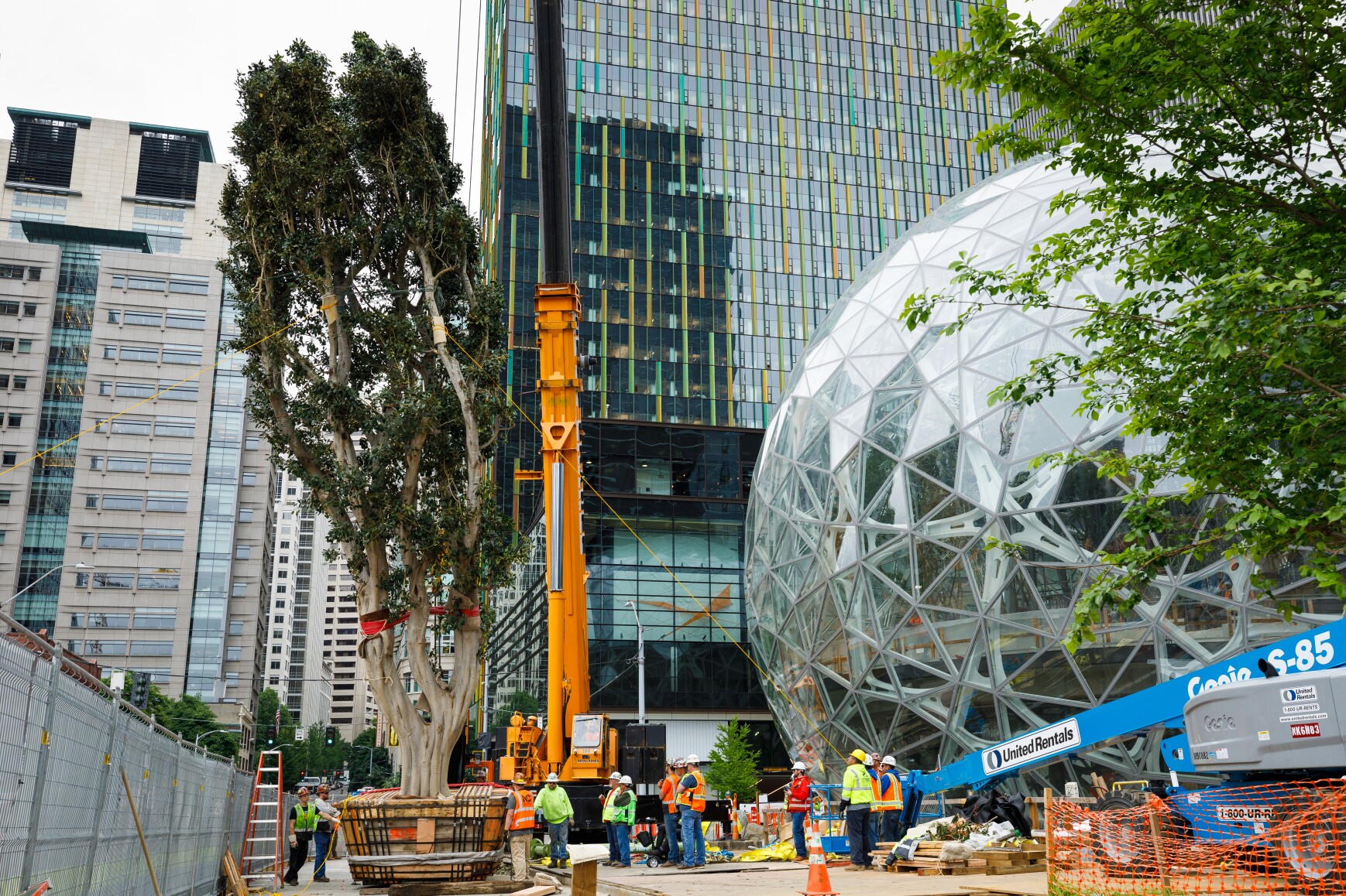 Seattle Spheres Seattle Spheres