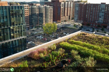 TNC - Stormwater Project ID: TNC17019-germany