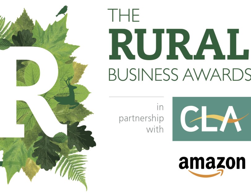 RBA Amazon_CLA logo 2017_3