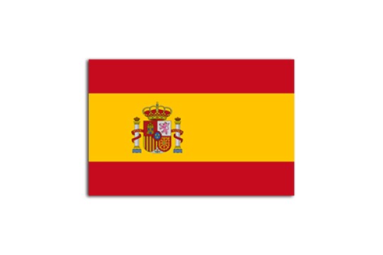 Flat flag of Spain on a white background