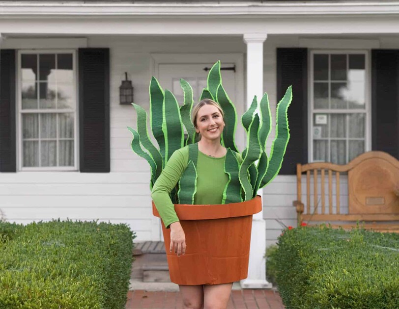 A woman wearing a boxtume (costume made from boxes). The bottom looks like a terra cotta pot, she wears a green long sleeve shirt, and around her upper body are large "leaves" to make her costume look like a potted plant.