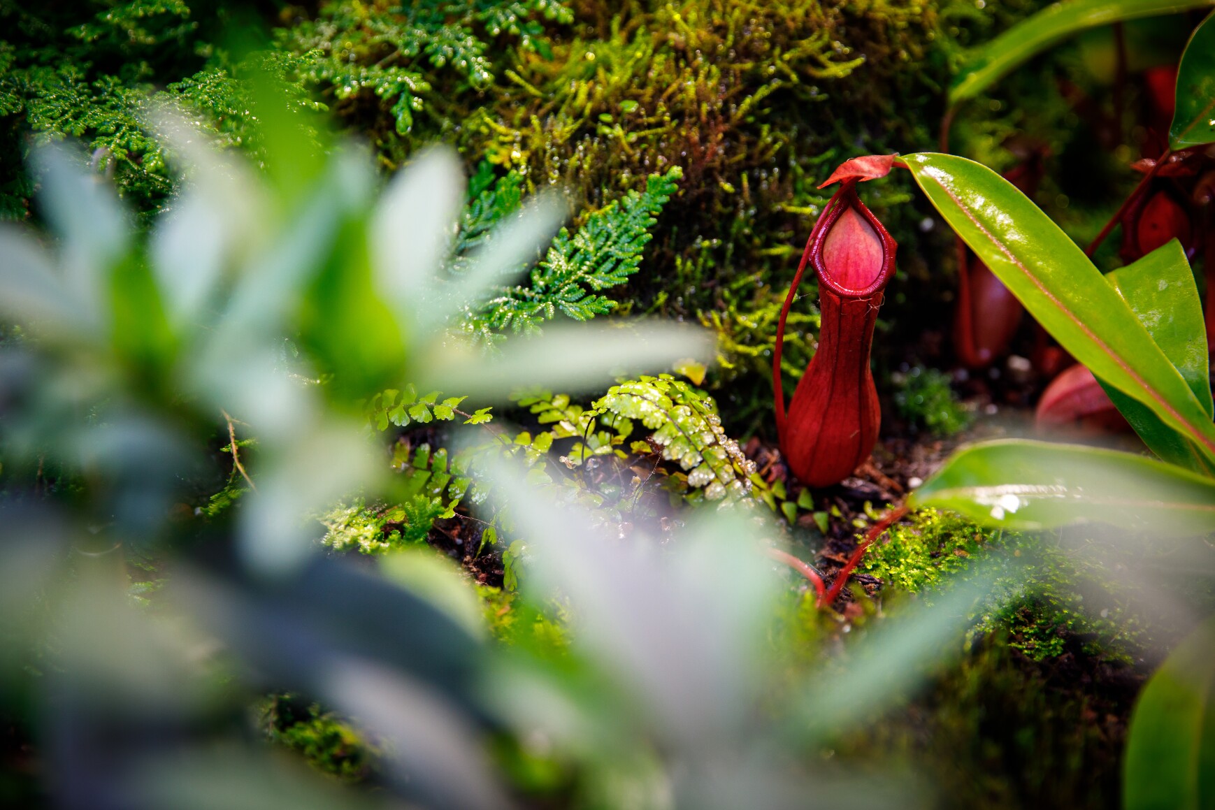 The Spheres - Interior