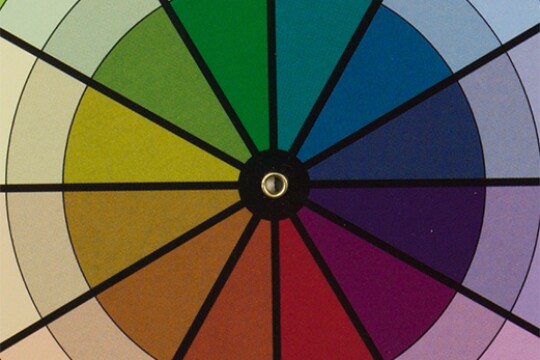 Wedges of colors radiate out from a center point. The colors are separated by black lines.